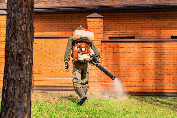 Trusted Fumigation Services service in Ellaville, GA - Nex Pest Control
